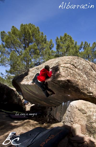 Shirleys in "La oveja negra" (2)